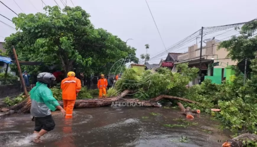 Enam Kecamatan di Tulungagung Masuk Status Tanggap Darurat Bencana Hidrometeorologi