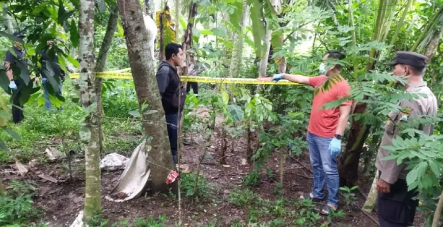 Bayi Perempuan Ditemukan di Perkebunan, Warga Gandusari Trenggalek Geger