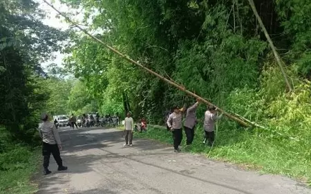Bahayakan Pengguna Jalan, Polsek Gandusari Lakukan Penebangan Pohon Bambu di Tumpak Kedekan