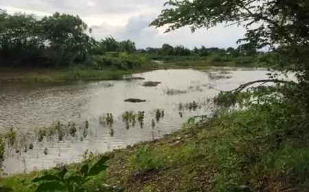 Bermain di Waduk Desa, Dua Siswa SMP di Gresik Ditemukan Tewas Tenggelam