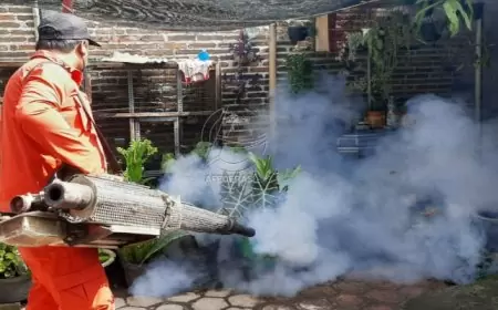 Kasus DBD di Tulungagung Melonjak Drastis Sepanjang 2024, Korban Meninggal Meningkat Lima Kali Lipat