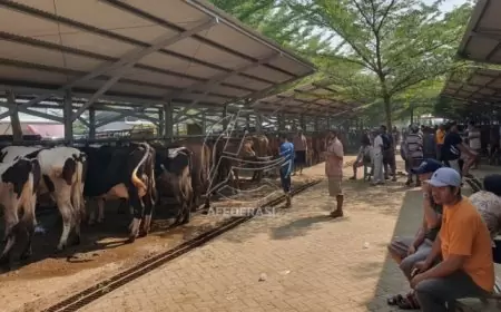 Merebaknya PMK, Pasar Hewan Tulungagung Ditutup : Potensi Retribusi Belasan Juta Menguap
