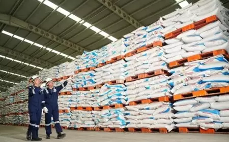 Siapkan Ratusan Ribu Ton Pupuk Subsidi, Petrokimia Gresik Pastikan Stok Pupuk Kebutuhan Petani Aman