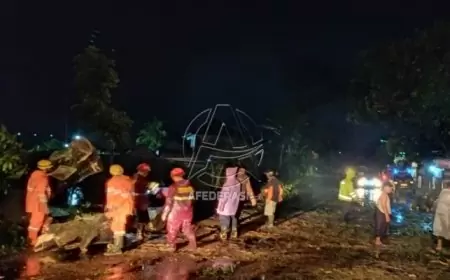 Hujan Deras dan Angin Kencang Terjang Tulungagung, Pohon Tumbang dan Banjir Rendam Permukiman