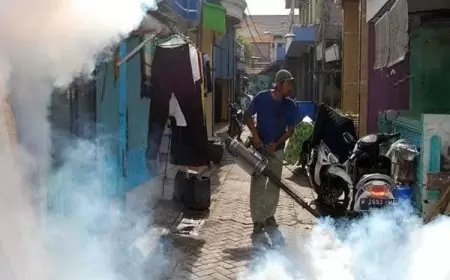 Kasus DBD di Gresik Naik Signifikan, Dinkes Himbau Masyarakat Terapkan 3M Plus