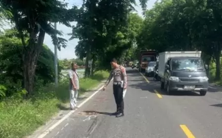 Tragis, Pasutri Kecelakaan di Jalur Pantura, Sang Istri Terjatuh Tewas Tertabrak Truk 