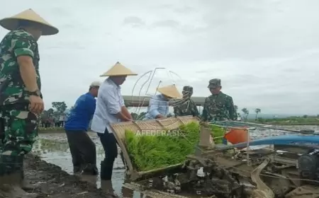 Kodim 0807 dan Pemkab Tulungagung Tanam Padi Demplot untuk Wujudkan Swasembada Pangan
