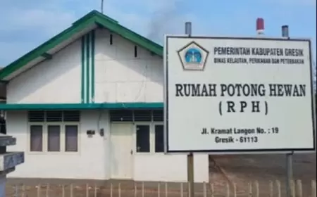 Inovasi Halal dan USG Rumah Potong Hewan Gresik Lampau Target PAD 154 Persen 