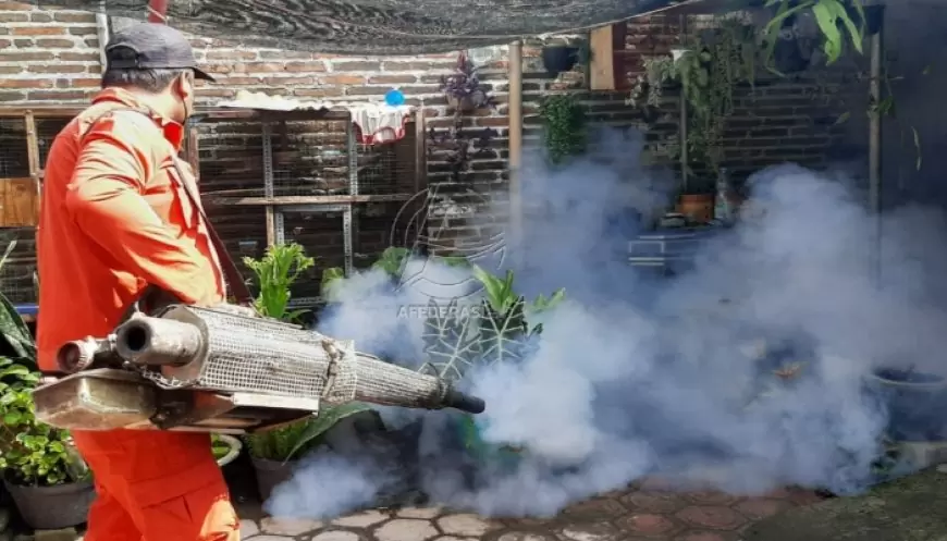 Kasus DBD di Tulungagung Melonjak Drastis Sepanjang 2024, Korban Meninggal Meningkat Lima Kali Lipat