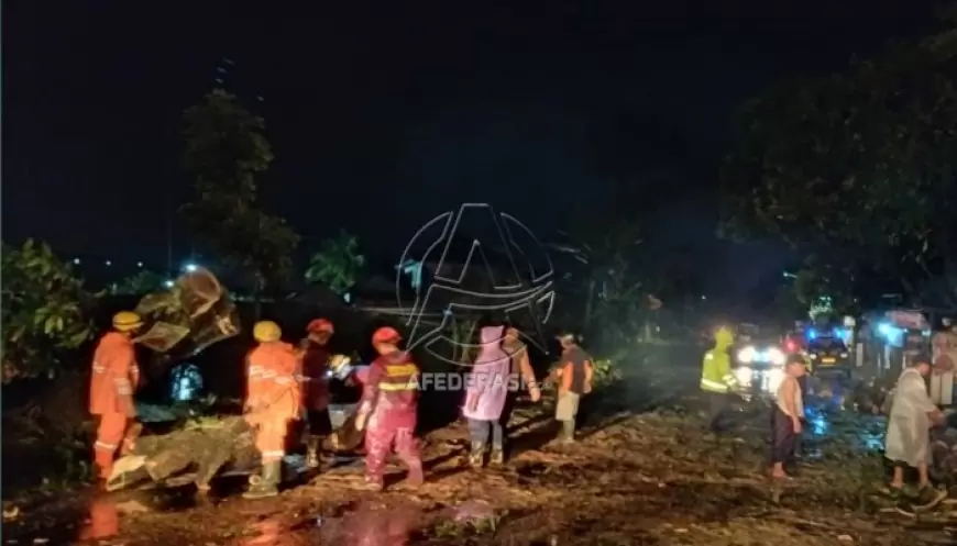 Hujan Deras dan Angin Kencang Terjang Tulungagung, Pohon Tumbang dan Banjir Rendam Permukiman