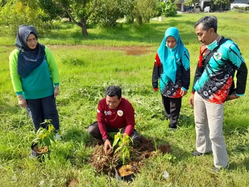 Mitigasi Bencana, Fokopimcam Ujungpangkah Gresik Tanam Ratusan Pohon Lindung