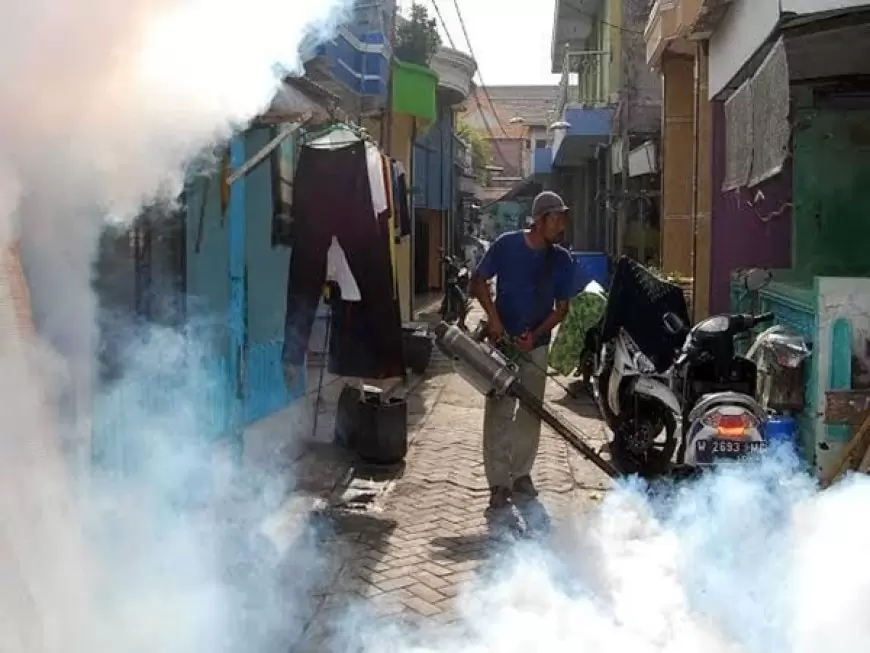 Kasus DBD di Gresik Naik Signifikan, Dinkes Himbau Masyarakat Terapkan 3M Plus