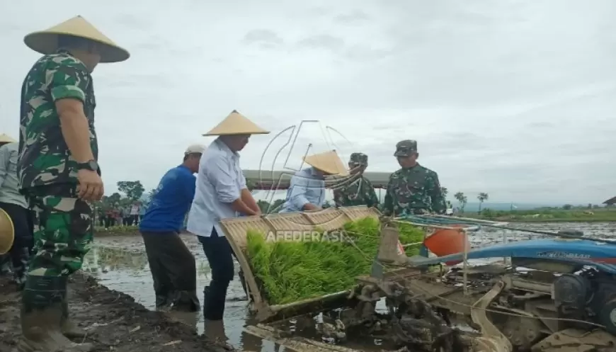 Kodim 0807 dan Pemkab Tulungagung Tanam Padi Demplot untuk Wujudkan Swasembada Pangan