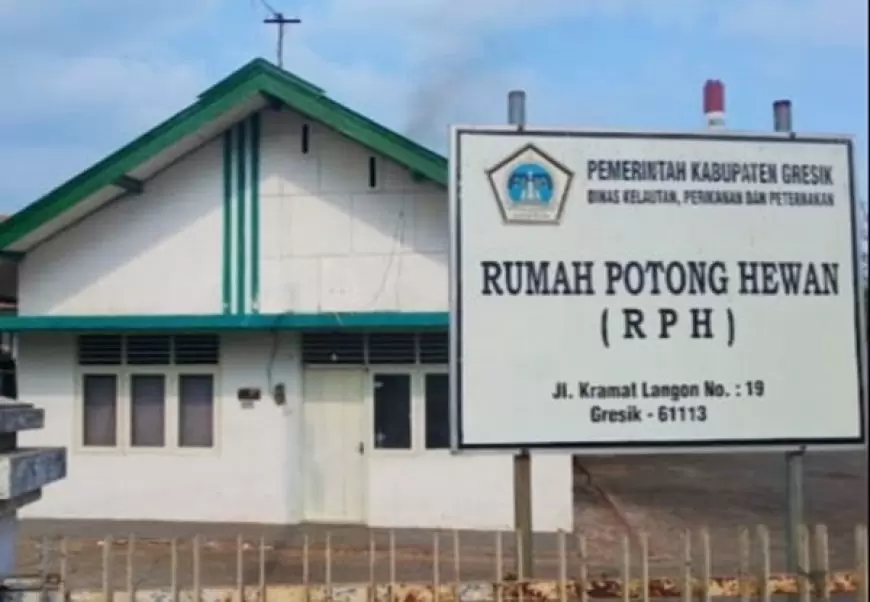 Inovasi Halal dan USG Rumah Potong Hewan Gresik Lampau Target PAD 154 Persen 