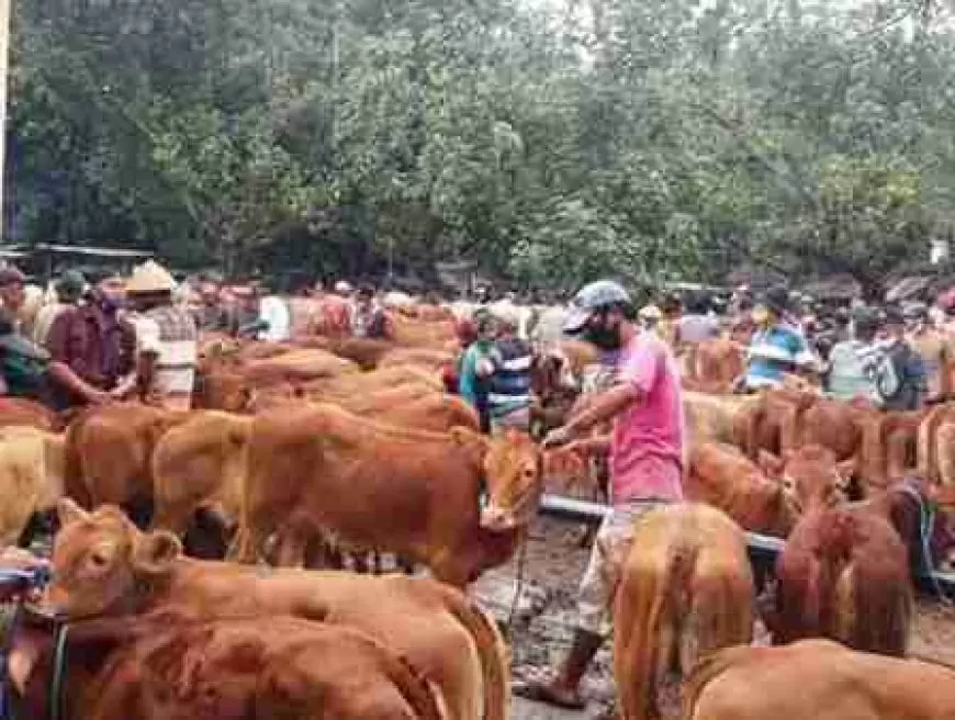 Siaga Cuaca Ekstrem, Pasar Hewan Kabupaten Ngawi Dapat Perhatian Khusus