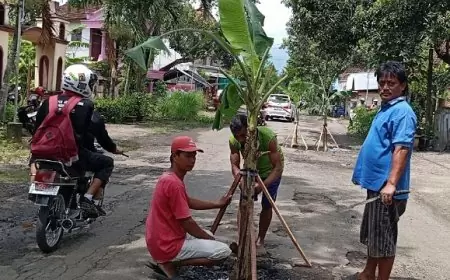 Jalan Rusak Parah, Warga Gandusari Tanam Pohon Pisang sebagai Bentuk Protes
