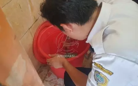 Pelajar SD di Tulungagung Meninggal Akibat DBD, Dinkes Temukan Sarang Nyamuk di Sekolah dan Rumah