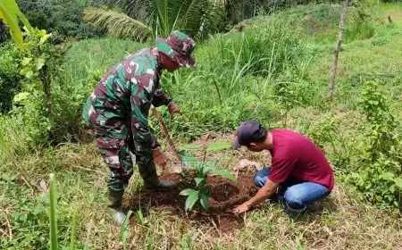 Hijaukan Lereng Gunung Wilis, TMMD ke-123 Tanam 2.000 Bibit Buah untuk Warga