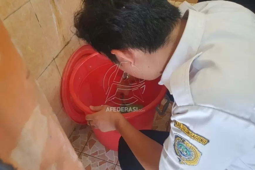 Pelajar SD di Tulungagung Meninggal Akibat DBD, Dinkes Temukan Sarang Nyamuk di Sekolah dan Rumah