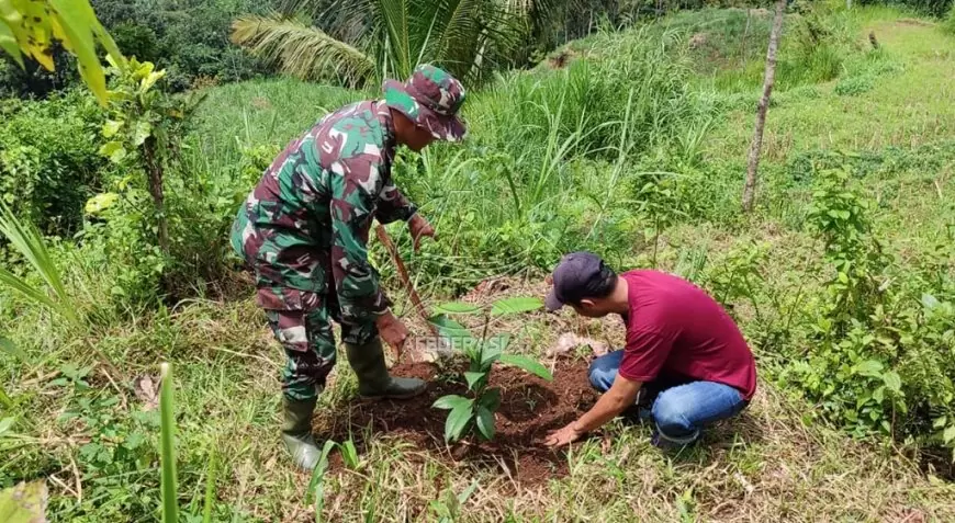 Hijaukan Lereng Gunung Wilis, TMMD ke-123 Tanam 2.000 Bibit Buah untuk Warga