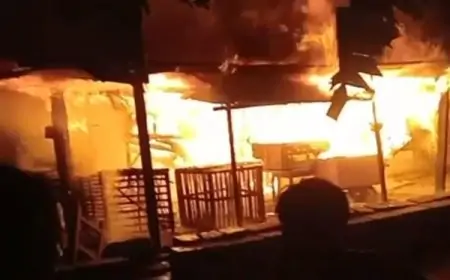 Kandang Ayam di Gresik Ludes Terbakar 