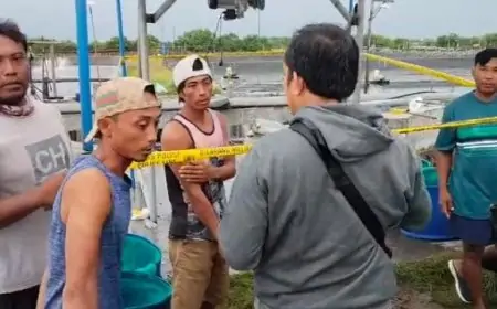 Tragedi di Tambak Udang: Dua Pekerja Tewas Tersengat Listrik, Tiga Lainnya Luka-Luka