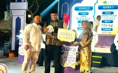Bandeng Raksasa 14.6 Kg Milik Petambak Syaifullah Mahdi Jadi Jawara Tradisi Kontes Bandeng Kawak Gresik