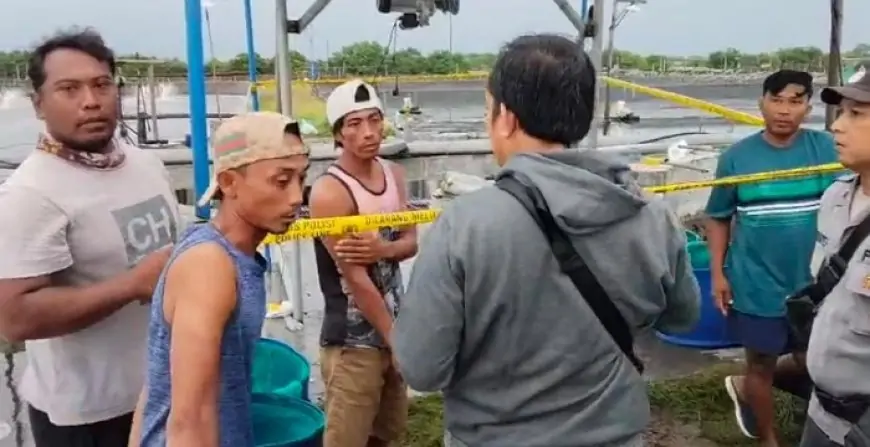 Tragedi di Tambak Udang: Dua Pekerja Tewas Tersengat Listrik, Tiga Lainnya Luka-Luka