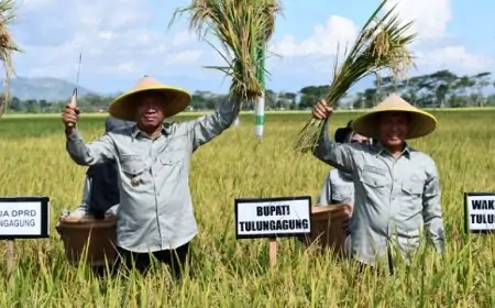 Ancaman Defisit Beras 2030, Bupati Tulungagung Desak Dinas Pertanian Genjot Surplus
