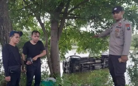 Gegara Selip Ban Hindari Senggolan dengan Truk Tronton, Mobil Xenia Warga Jember Nyemplung Tambak 