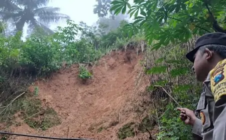Diterjang Longsor, Rumah Warga di Trenggalek Rusak Tertimbun Material Tebing