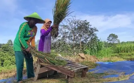Petani Tak Perlu Cemas, Bulog Tulungagung Siap Serap Gabah dengan Harga Rp6500