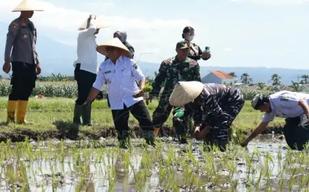 Tanam Serentak Nasional, Banyuwangi Tancapkan Komitmen Jadi Lumbung Pangan Negeri