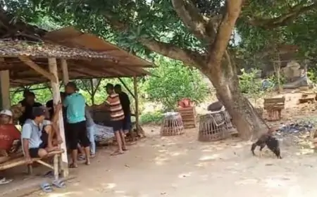 Grebeg Judi Sabung Ayam, Polsek Ujungpangkah Gresik Amankan 17 Pelaku 