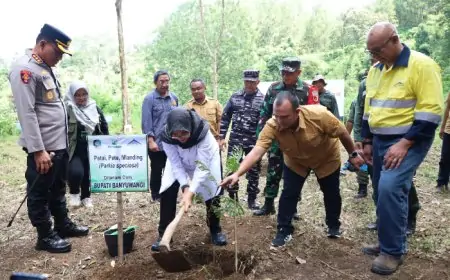 Pemkab Banyuwangi Genjot Penghijauan Tanam 1,2 Juta Pohon