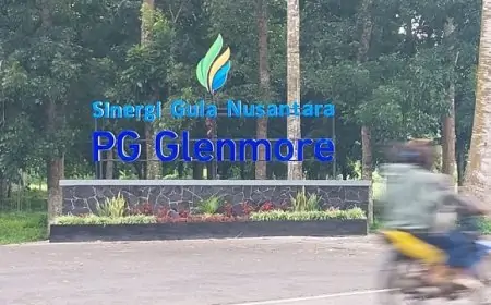 PG Glenmore Buka Lowongan Kerja Musim Giling 2025, Ini Syarat dan Tenggat Waktunya