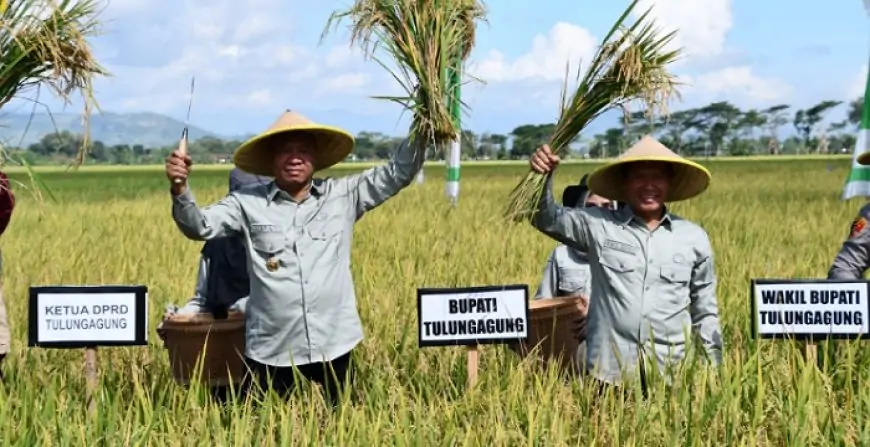 Ancaman Defisit Beras 2030, Bupati Tulungagung Desak Dinas Pertanian Genjot Surplus