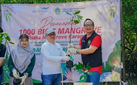 Jaga Ekosistem Alam, DLH Gresik dan PT Wilmar Nabati Tanam 1000 Pohon Mangrove 