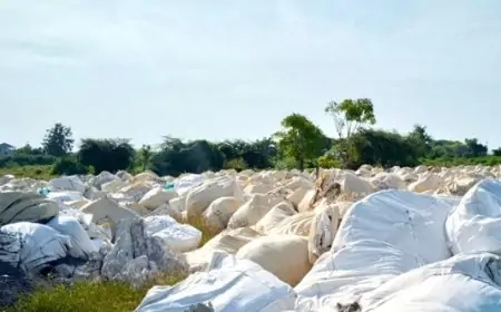 Kasus Pembuangan Limbah, DLH Gresik Tunggu Hasil Uji Laboratorium DLH Propinsi dan Polda Jatim