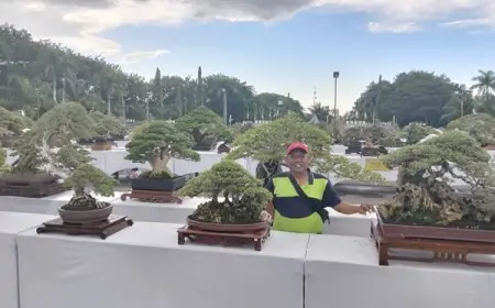 Ribuan Pecinta Bonsai se-Nusantara Ikuti Kontes Nasional Giri Kedaton di Gresik