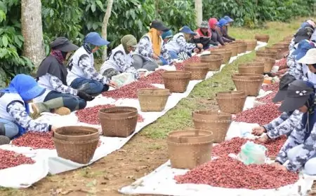 PTPN I Sesalkan Aksi Anarkis di Ijen, Tegaskan Komitmen Jaga HGU dan Kesejahteraan Warga