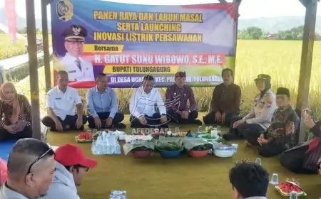 Panen Raya dan Inovasi Listrik Sawah di Ngrance, Bupati Gatut Sunu Tegaskan Komitmen Jaga Harga Gabah
