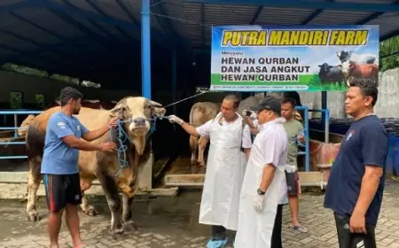 Disnak Jombang Cek Sapi Banpres Prabowo Dicek Kesehatannya