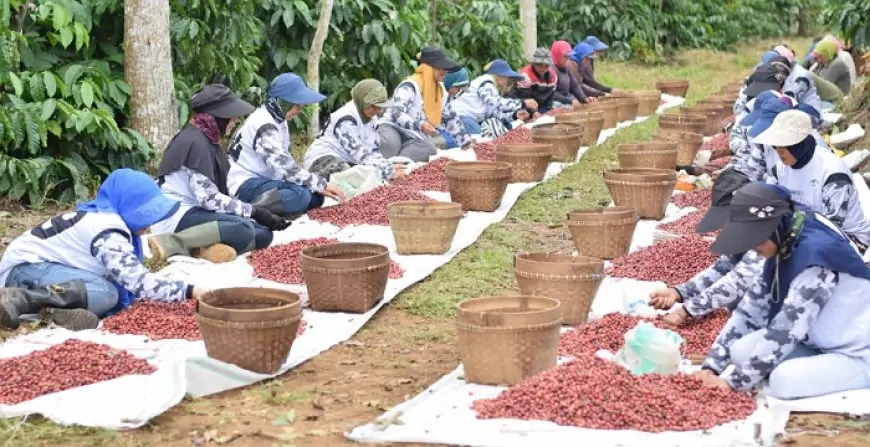 PTPN I Sesalkan Aksi Anarkis di Ijen, Tegaskan Komitmen Jaga HGU dan Kesejahteraan Warga