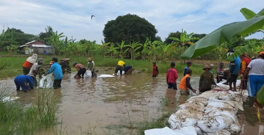 Luapan Sungai Bengawan Solo Dibendung Tanggul Darurat