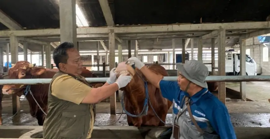 Disnak Jombang Gencarkan Cek Kesehatan Hewan