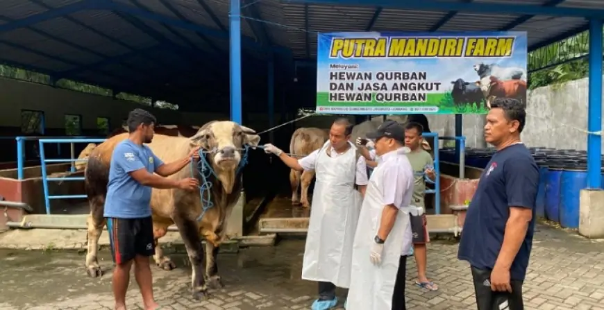 Disnak Jombang Cek Sapi Banpres Prabowo Dicek Kesehatannya