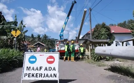 Jalur Gelap Mulai Terang: Pemkab Jember Pasang Ratusan Tiang Listrik di Bandealit
