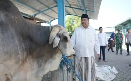 Bupati Jombang Warsubi Sembelih 58 Ekor Sapi,  Bentuk Kepedulian Sosial