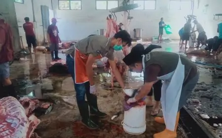 Dinas Peternakan Jombang Lakukan Pemeriksaan Post-Mortem Hewan Kurban